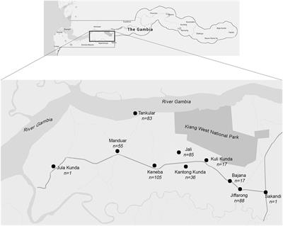 The Gambian Bone and Muscle Ageing Study: Baseline Data from a Prospective Observational African Sub-Saharan Study